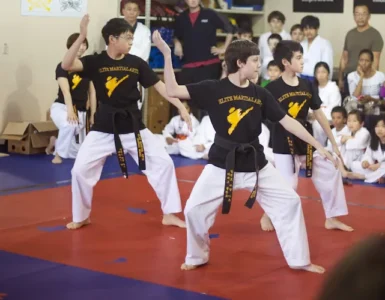 Elite Karate