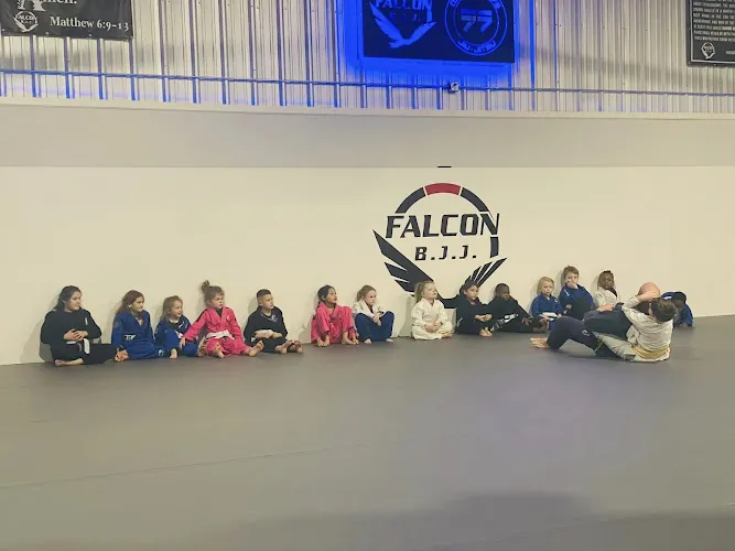 Falcon Brazilian Jiu Jitsu