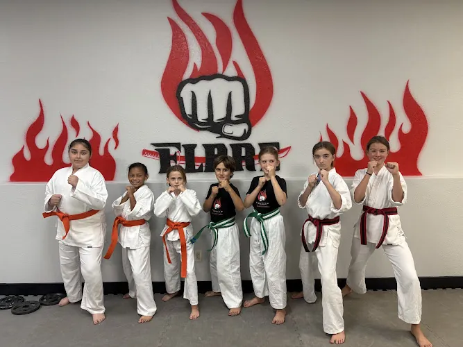 Flare Martial Arts Academy