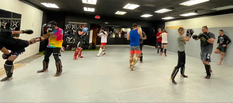 Frey MMA
