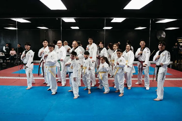 Golden angels taekwondo texas