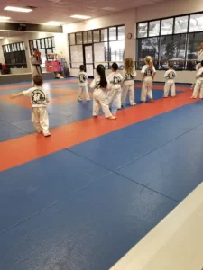 HK Taekwondo