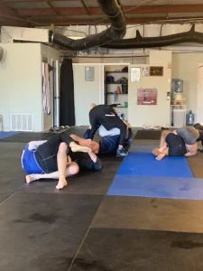 Half Shell Jiu-jitsu