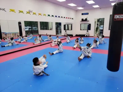 Hanguk Taekwondo