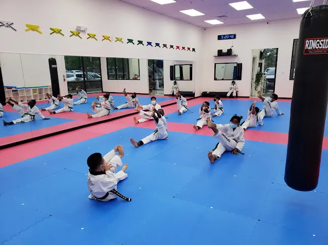 Hanguk Taekwondo