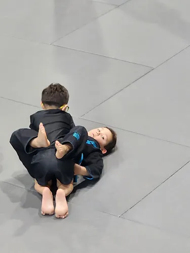 Harlingen Jiu Jitsu Club