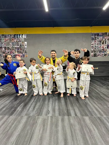 House of Dragons Martial Arts