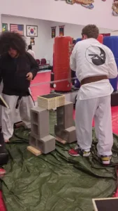 Houston Karate Academy