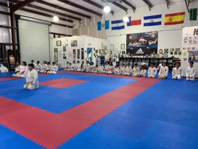 IMA Houston Karate