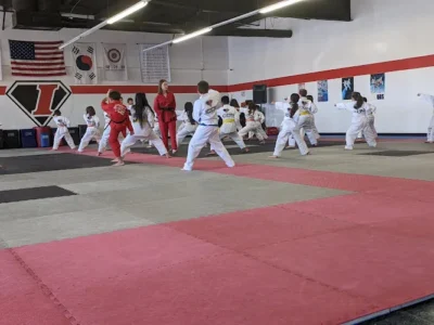Icon Martial Arts Academy