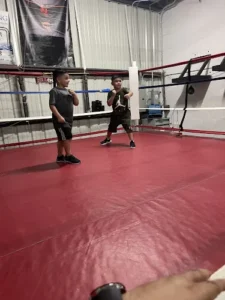 In This Corner Nation