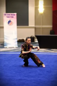 Integrity Kung Fu Academy