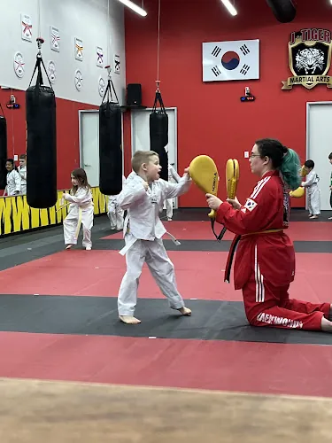 J Tiger martial Arts Trophy club