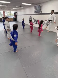 Jiu Jitsu in Cypress - Ceconi BJJ