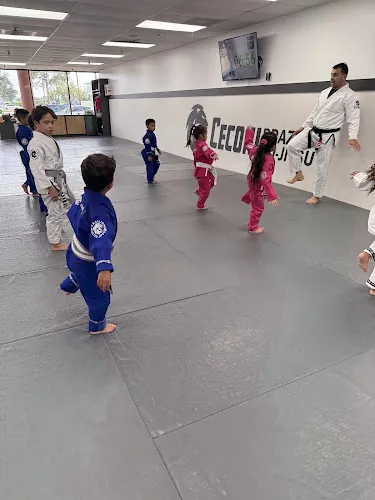Jiu Jitsu in Cypress - Ceconi BJJ