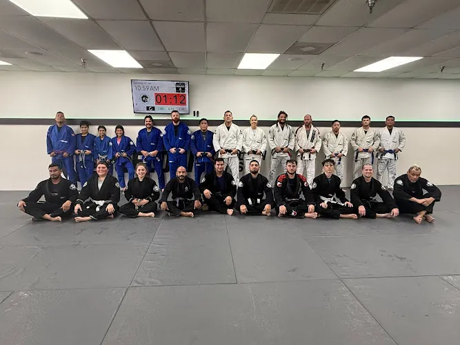 Jiu Jitsu in Magnolia - Ceconi BJJ