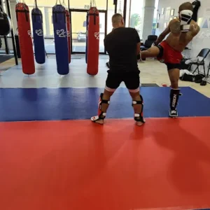 Junkyard Fitness and Fighting Arts