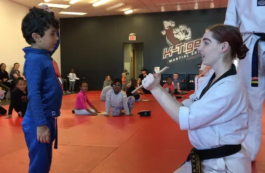 K-Tiger Martial Arts Taekwondo