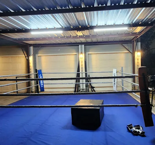 King of kings boxing