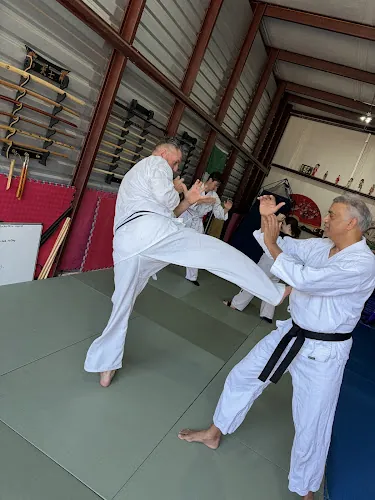 Kogyo Aikido