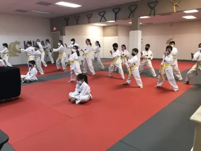 KuGar Taekwondo