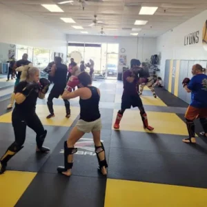 LP Martial Arts