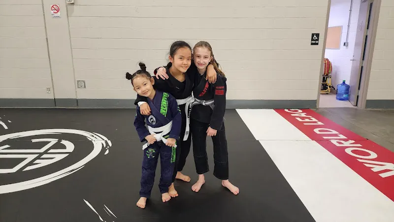 Labyrinth Brazilian Jiu Jitsu