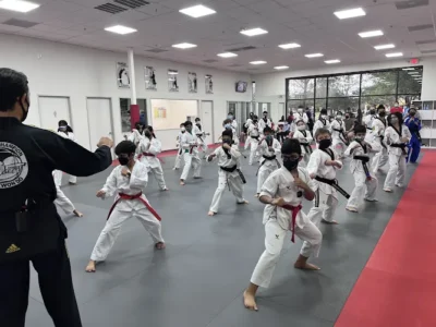 Leaders Taekwondo Firethorne