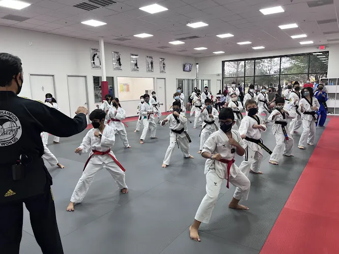 Leaders Taekwondo Firethorne