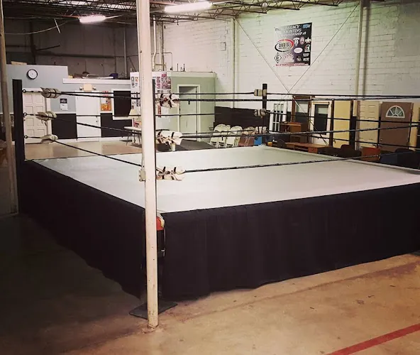 League of Lions Wrestling