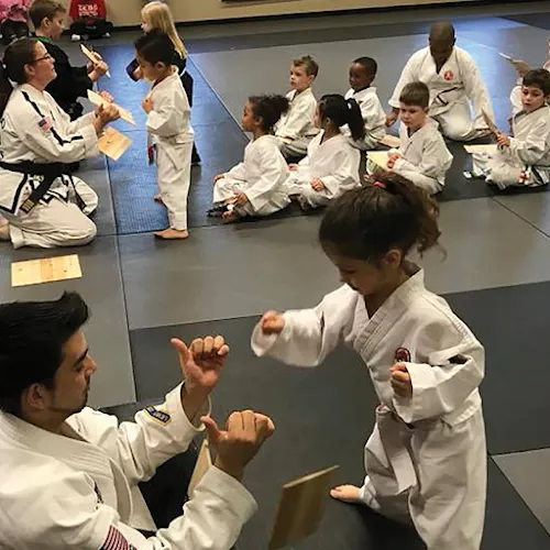 Longview Martial Arts Academy