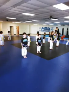 MSA Martial Arts