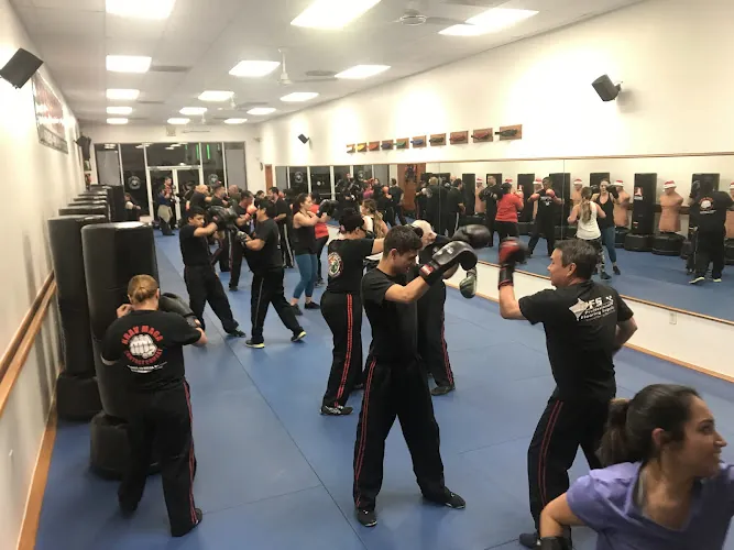 Mastery Martial Arts