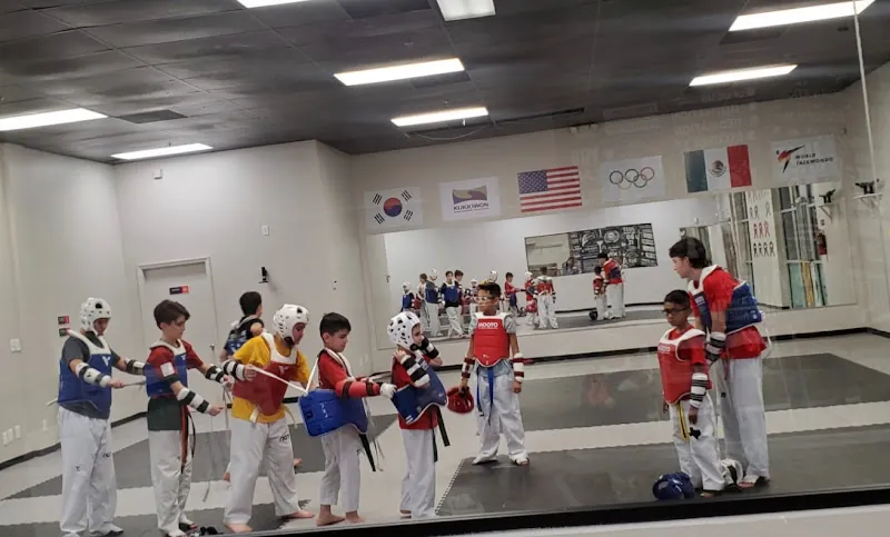 Next Taekwondo