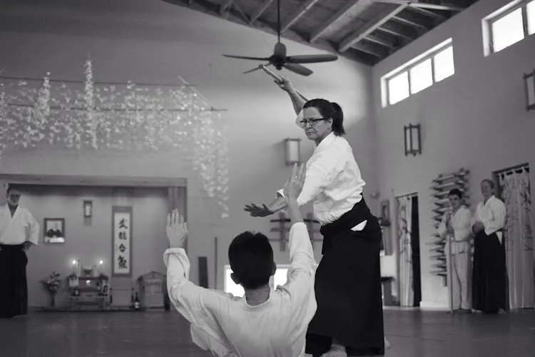 North Texas Aikido