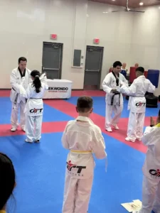 OTT Taekwondo USA