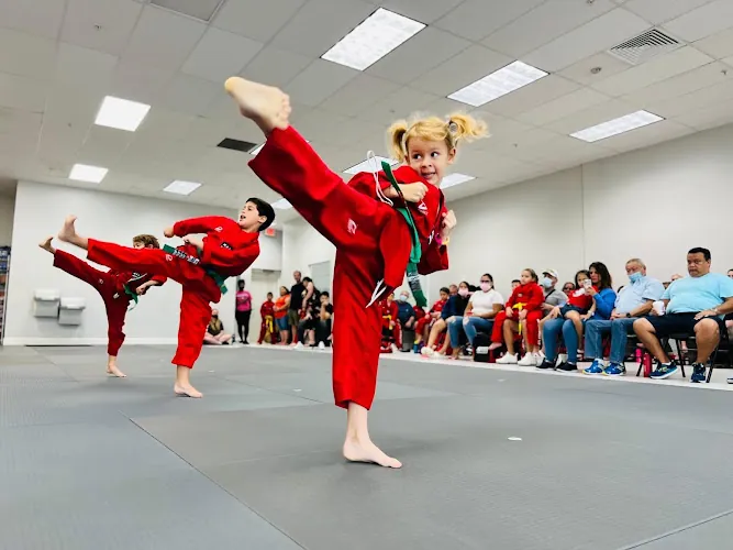 Parks Taekwondo Federation - Cypress