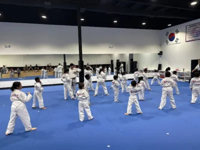 Parks Taekwondo Federation - Katy