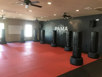 Patterson Academy of Martial Arts