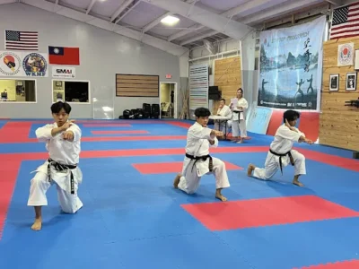 Pearland Shotokan Karate Academy