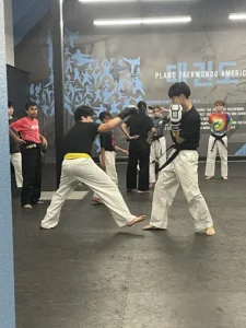 Plano Taekwondo America