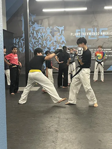 Plano Taekwondo America
