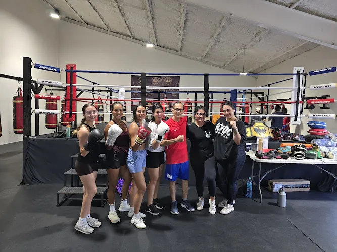 Pound 4 Pound Boxing - Ludus Magnus