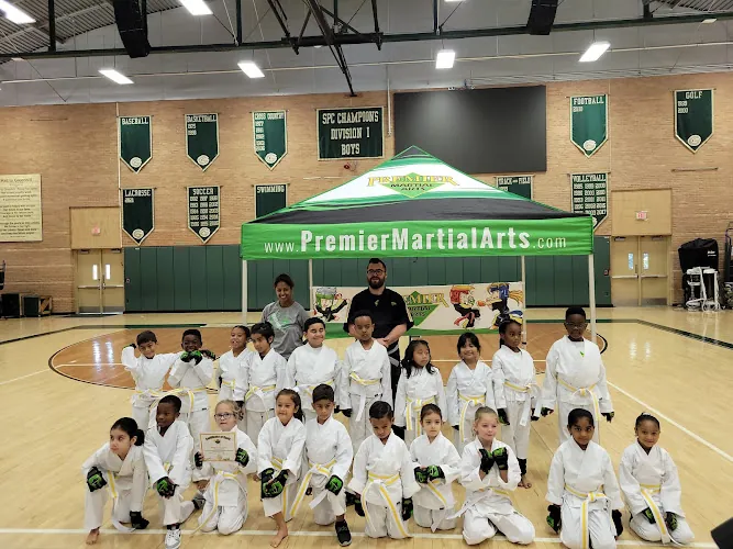 Premier Martial Arts Addison