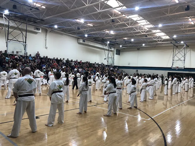 Premier Martial Arts Dickinson