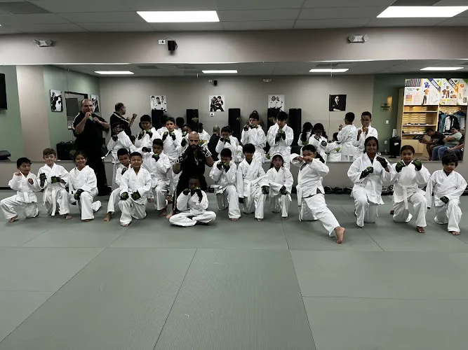 Premier Martial Arts Jersey Village