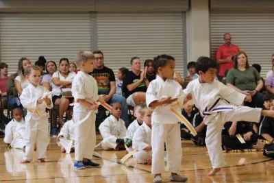 Premier Martial Arts Kingwood