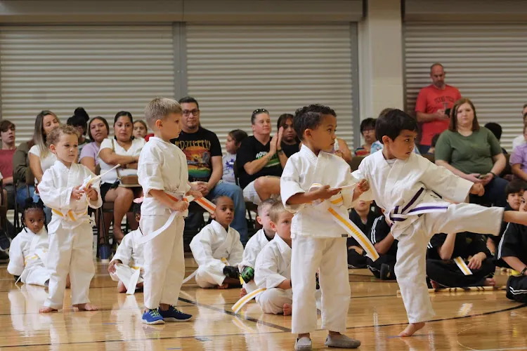 Premier Martial Arts Kingwood