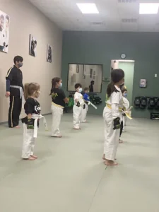 Premier Martial Arts Mission