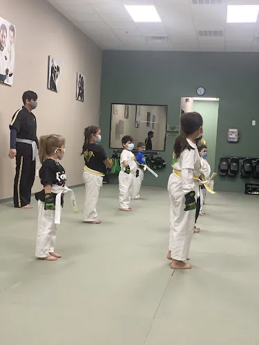 Premier Martial Arts Mission